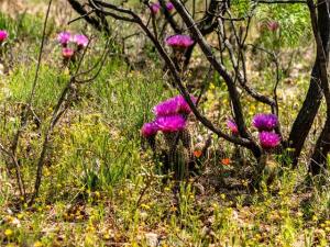 MLS #20600167 image #0
