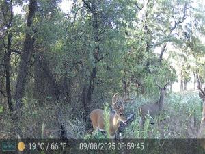MLS #20665456 image #0