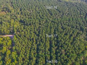 MLS #20708112 image #0