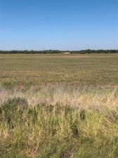 MLS #20783194 image #0