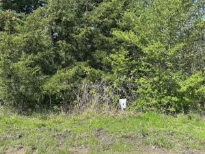 MLS #20924342 image #0
