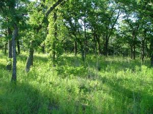 MLS #20928429 image #0