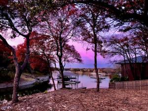 MLS #20939107 image #0