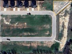 MLS #20994179 image #0