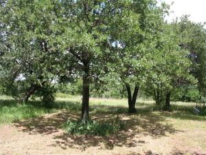 MLS #21054164 image #0