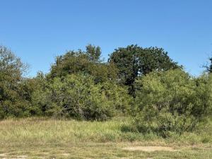 MLS #21058150 image #0