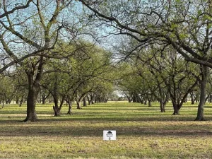 broker reciprocity