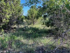 MLS #21068793 image #0