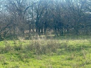 MLS #21090113 image #0