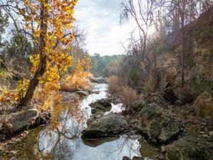 MLS #21137140 image #0