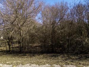 MLS #21141104 image #0