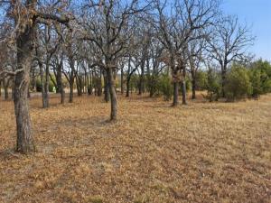MLS #21149941 image #0