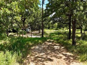 MLS #21154888 image #0