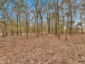 MLS #21160902 image #0
