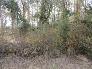 MLS #21171435 image #0
