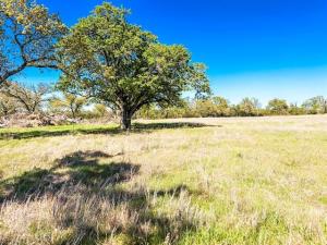 MLS #21214517 image #0