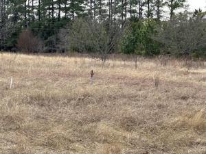 MLS #21219965 image #0