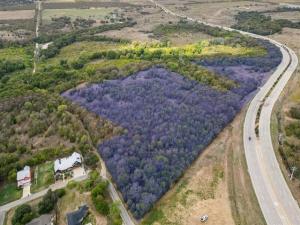 MLS #21228098 image #0