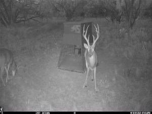 MLS #21228694 image #0