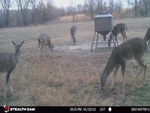 MLS #21229053 image #0