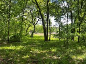 MLS #21233989 image #0