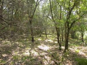 MLS #21246090 image #0