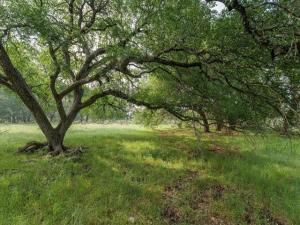 MLS #21246959 image #0
