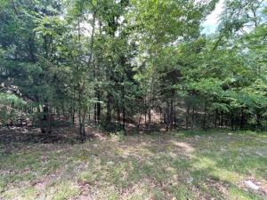 MLS #21254376 image #0