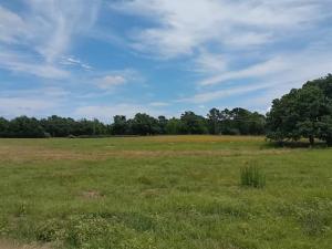 MLS #21261176 image #0