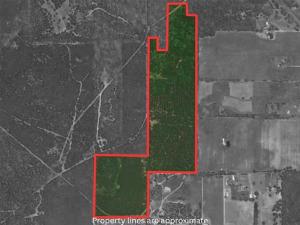 MLS #21261380 image #0