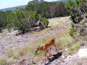 MLS #21271451 image #0