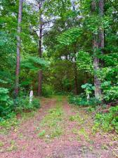 MLS #21272751 image #0