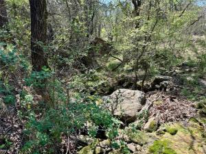 MLS #21273015 image #0