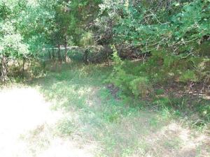 MLS #21274595 image #0