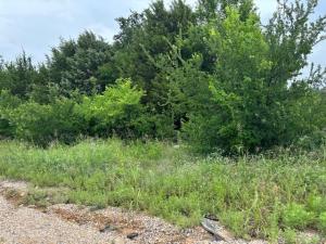 MLS #21275906 image #0