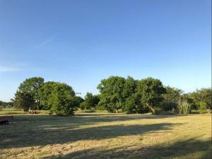 MLS #21279400 image #0