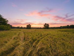 MLS #21286344 image #0