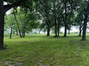 MLS #21292354 image #0