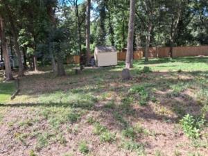 MLS #21294839 image #0