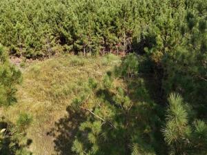 MLS #21295143 image #0