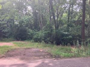 MLS #21298405 image #0