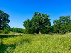 MLS #21309463 image #0
