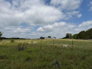MLS #21310875 image #0