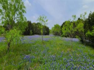 MLS #21317211 image #0