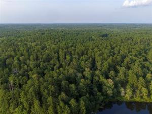 MLS #21322786 image #0