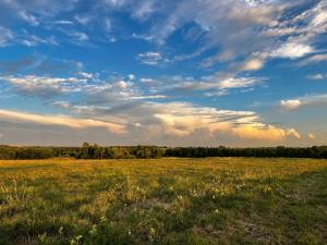 MLS #21325100 image #0