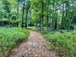MLS #21325431 image #0