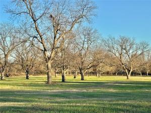 MLS #21328533 image #0