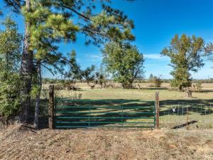 MLS #21335185 image #0