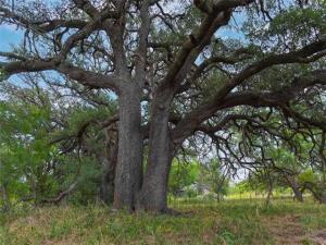 MLS #21335651 image #0